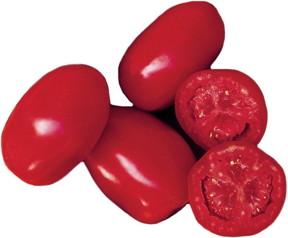 Burpee Fresh Salsa Tomato Seeds 30 seeds