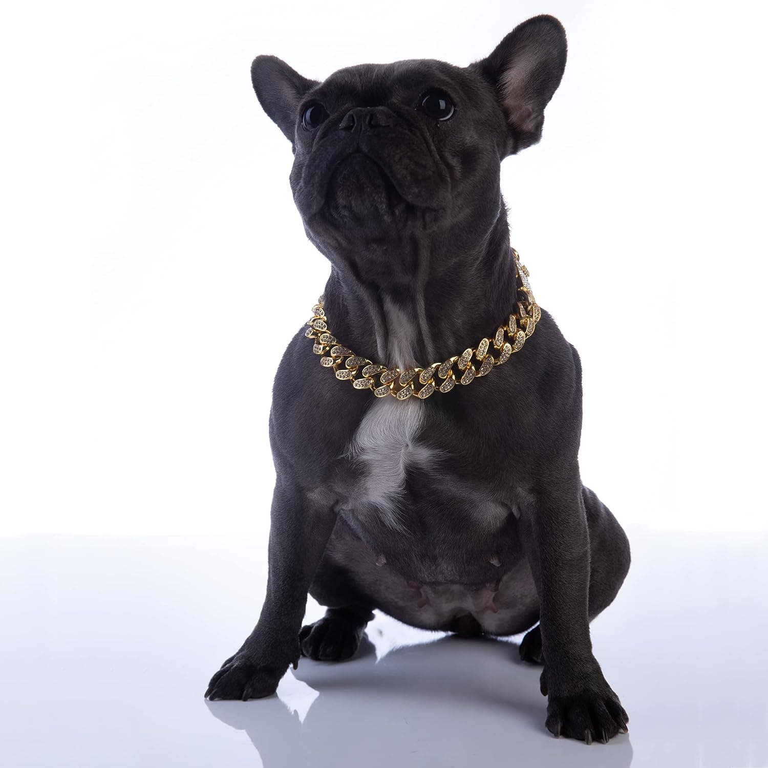 Armano Pets Dog Collar Gold Chain – Gold Link Dog Collar for All Breeds – Diamond-Encrusted Chain Collar for Dogs – 20mm Refined Cuban Co…