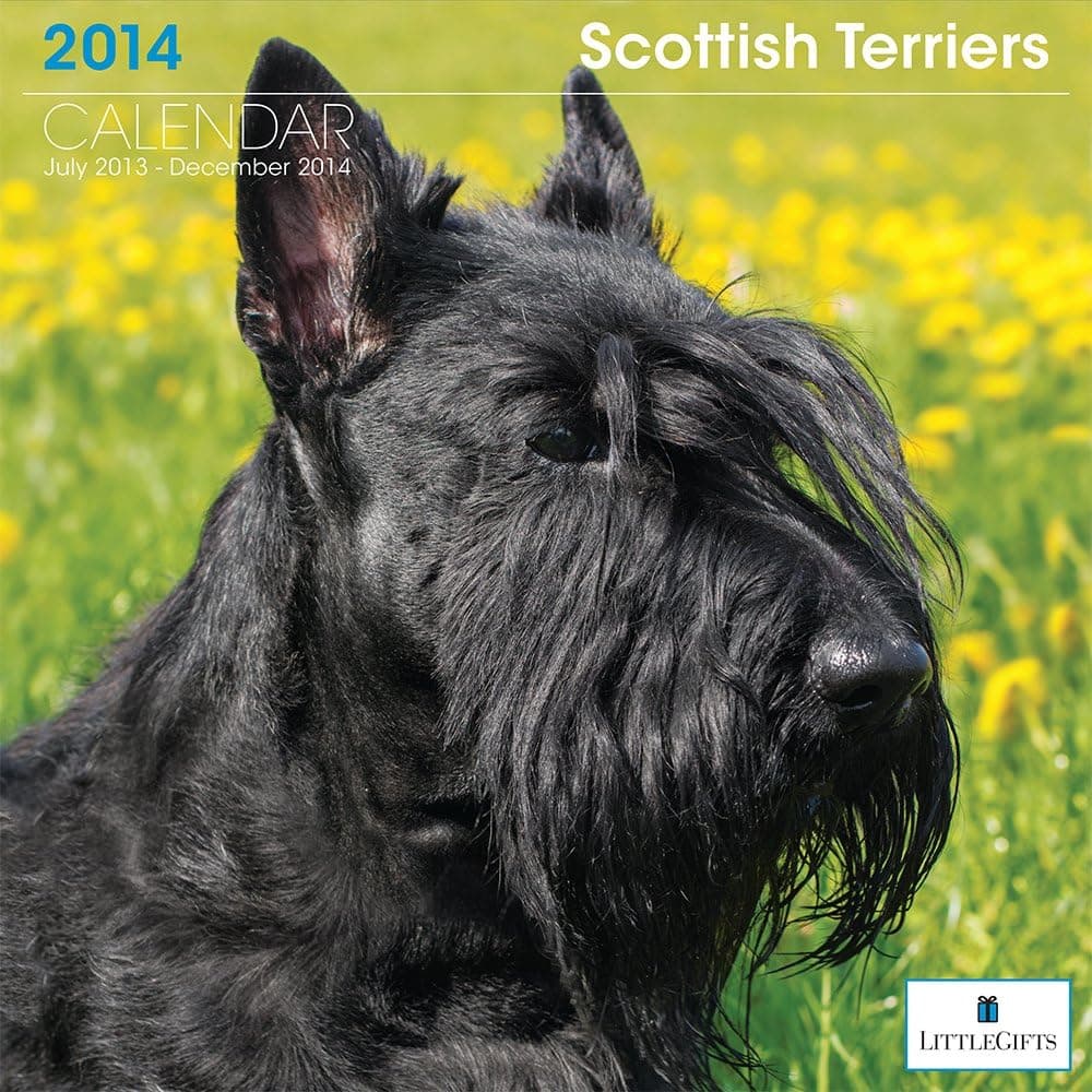 LittleGifts Scottish Terrier 2014 Calendar (7105)