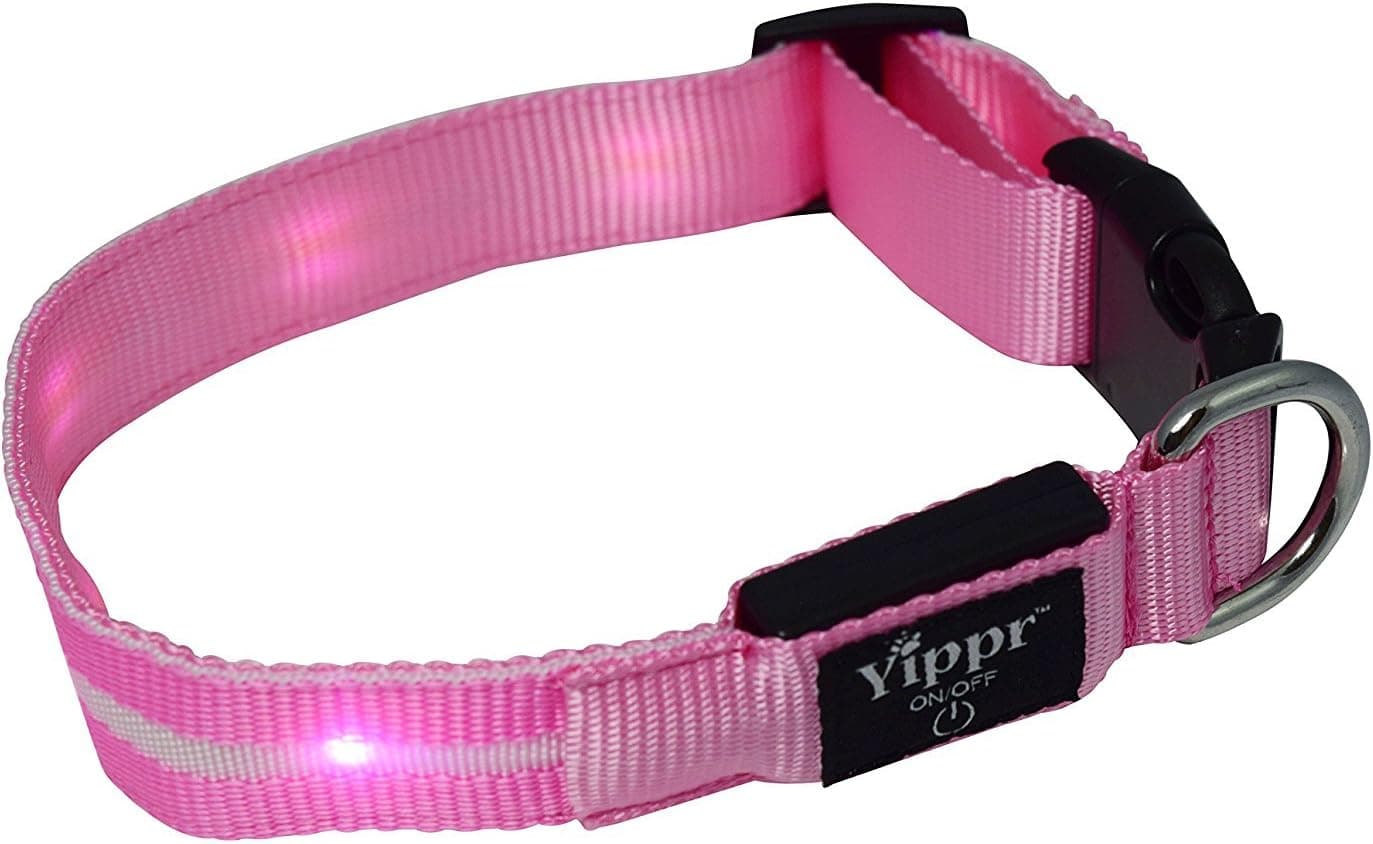 Classic LED Dog Collar By Yippr - USB Rechargeable Led Lighted Dog Collar With 4 Settings - Increase Visibility, Safety Collar, Night Use…