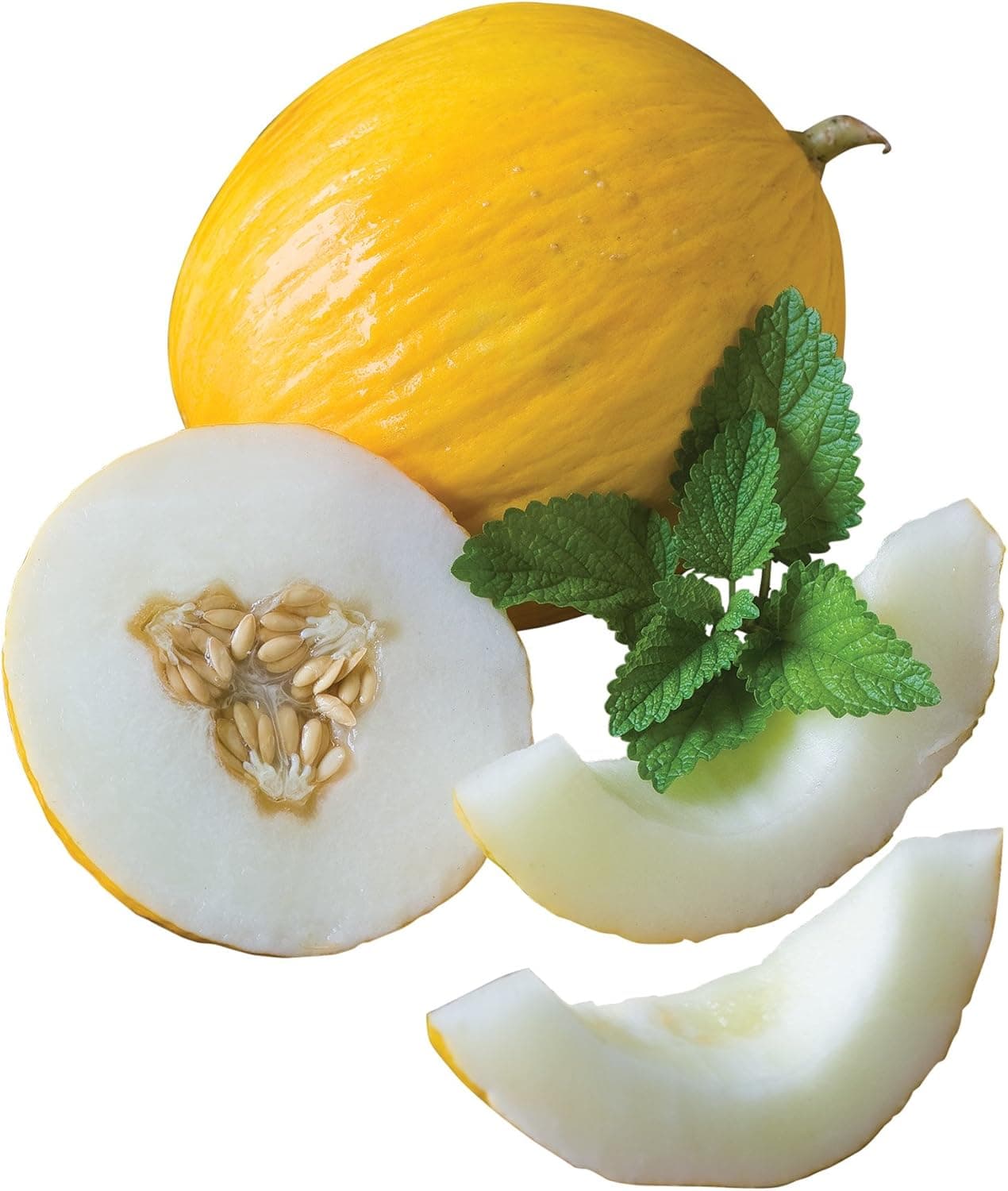 Burpee Twice As Nice Hybrid (Fonzy) Melon Seeds 15 seeds